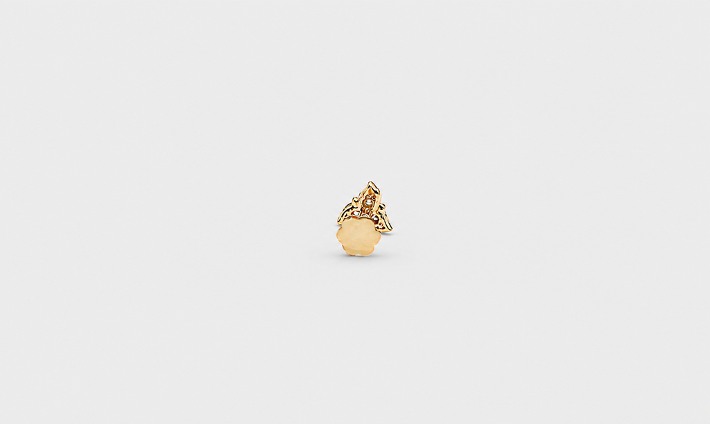 Earring Pro 2