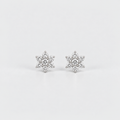 Lab Grown Diamond Round Cut Cluster Earrings 0.30 Ct. (EF/VVS-VS)