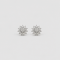 Lab-Grown Diamond Round Cut 0.30 Ct. Cluster Earrings (EF-VS)