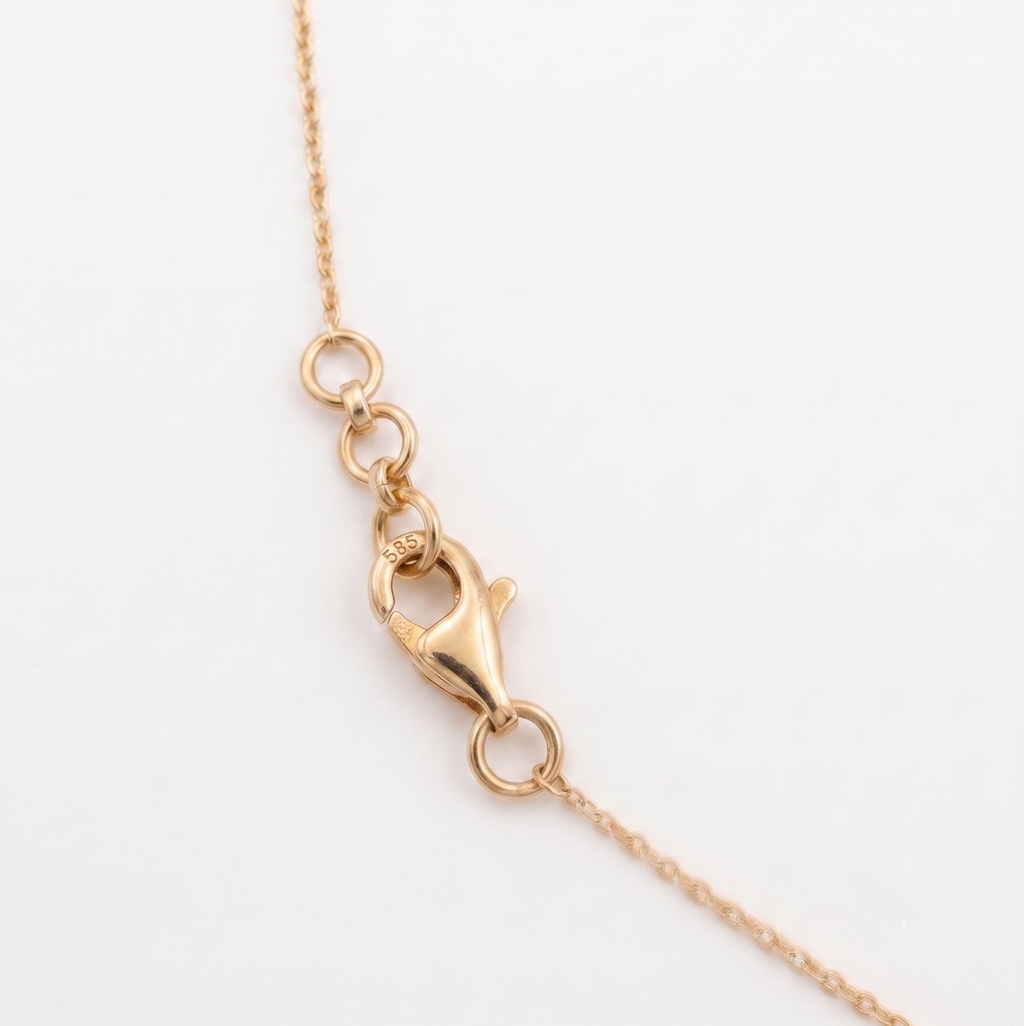 Close-up of a gold chain necklace showing a lobster clasp and adjustment rings on a white background.