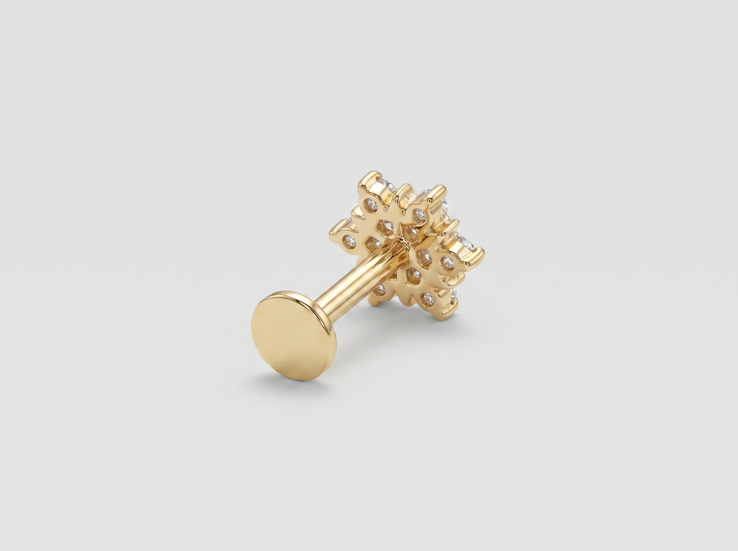 Earring Pro 3