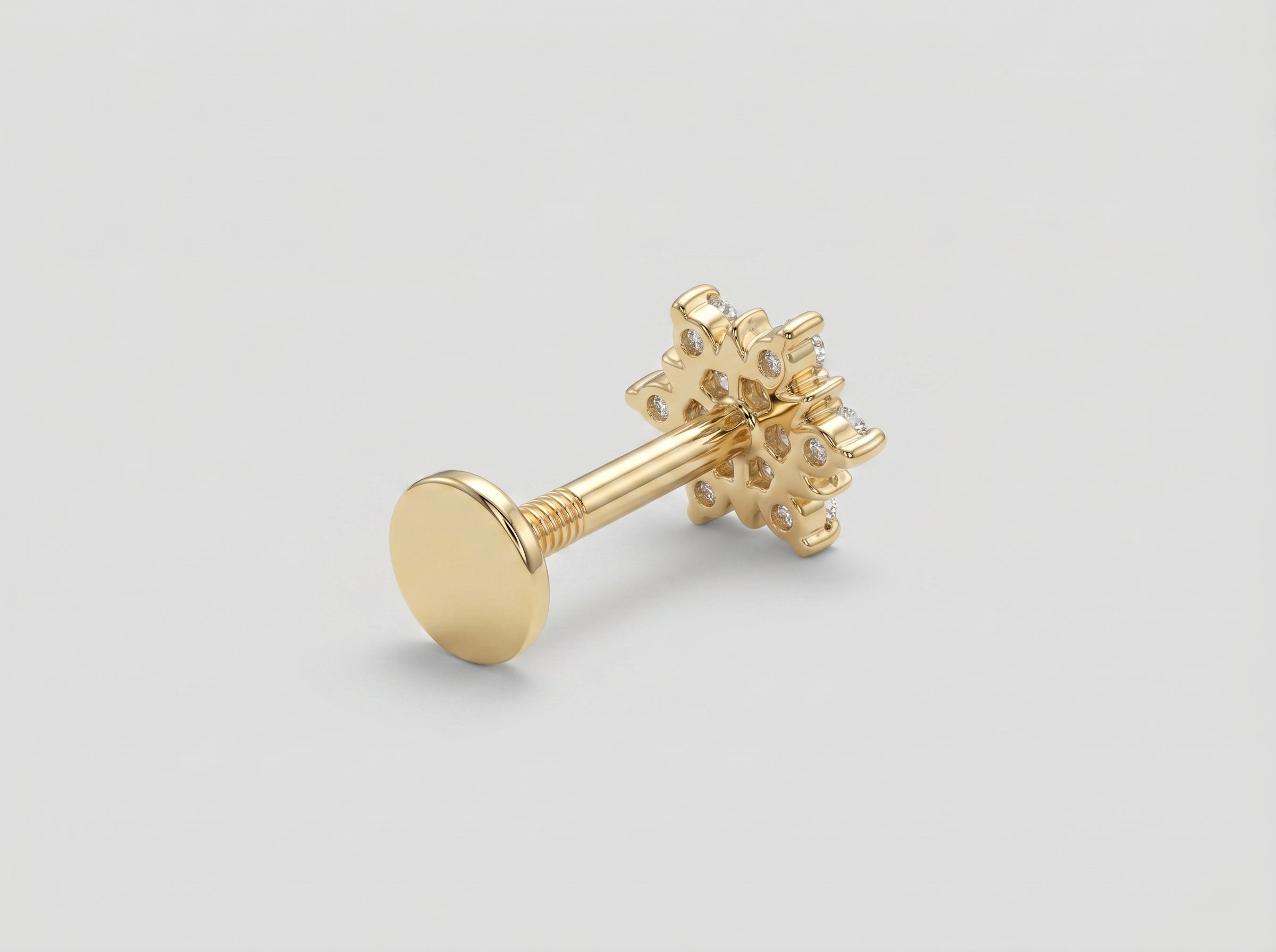 Earring Pro 3