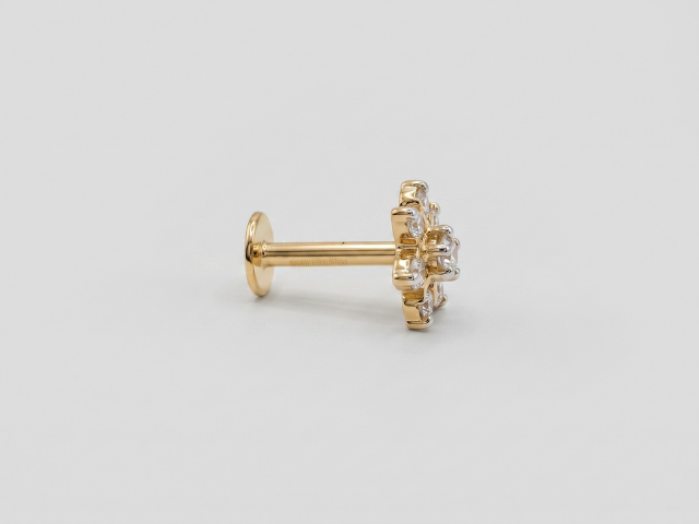 Earring Pro 3