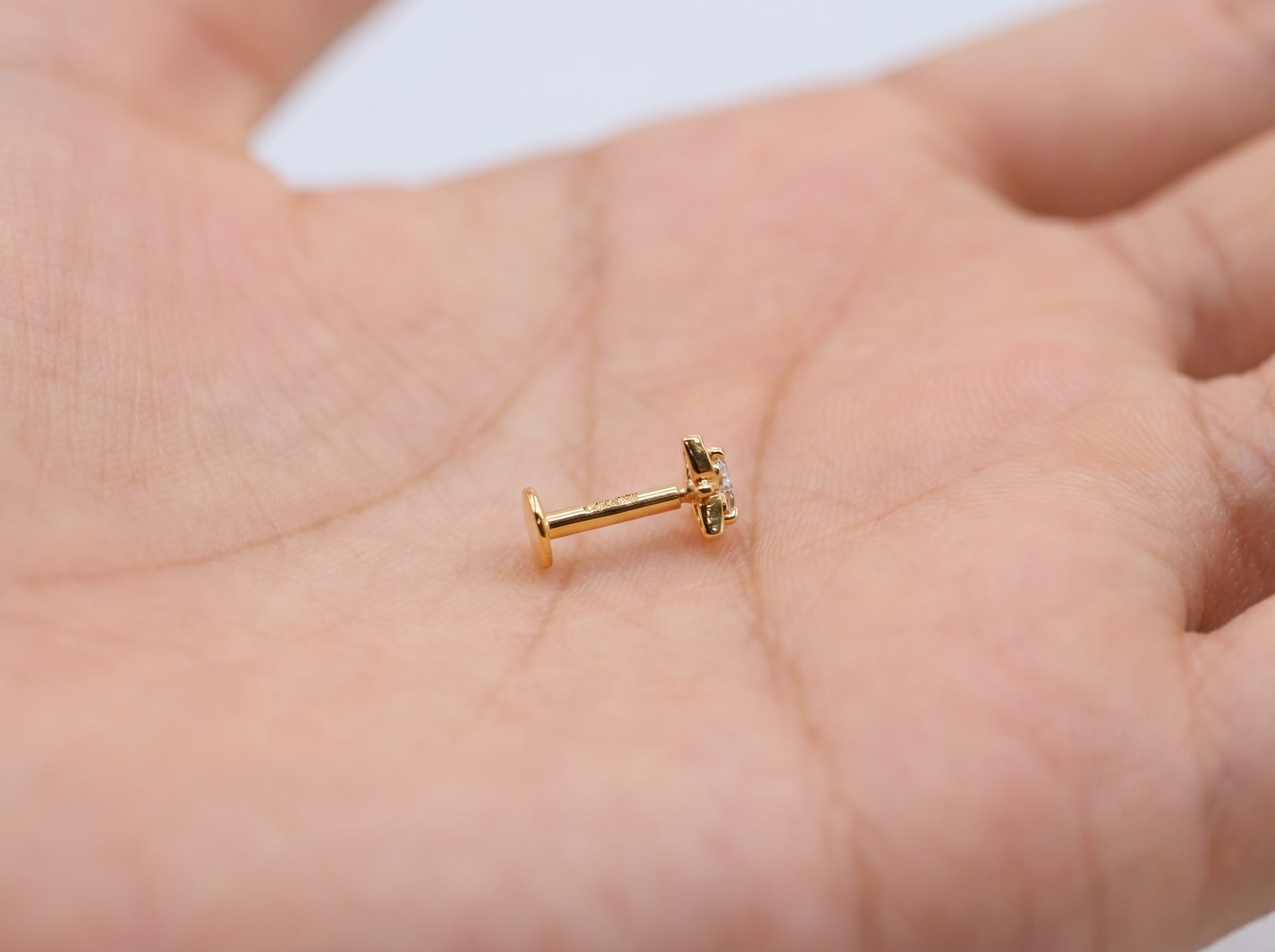 Earring Pro 2