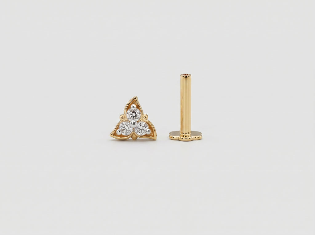 Earring Pro 2