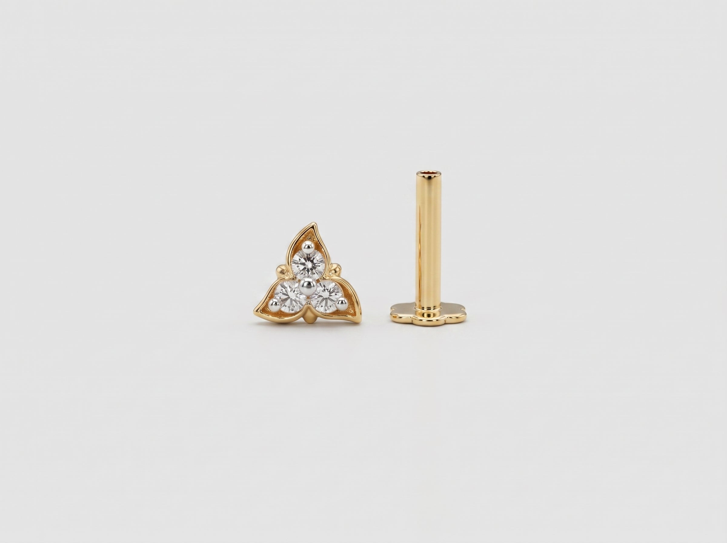 Earring Pro 2