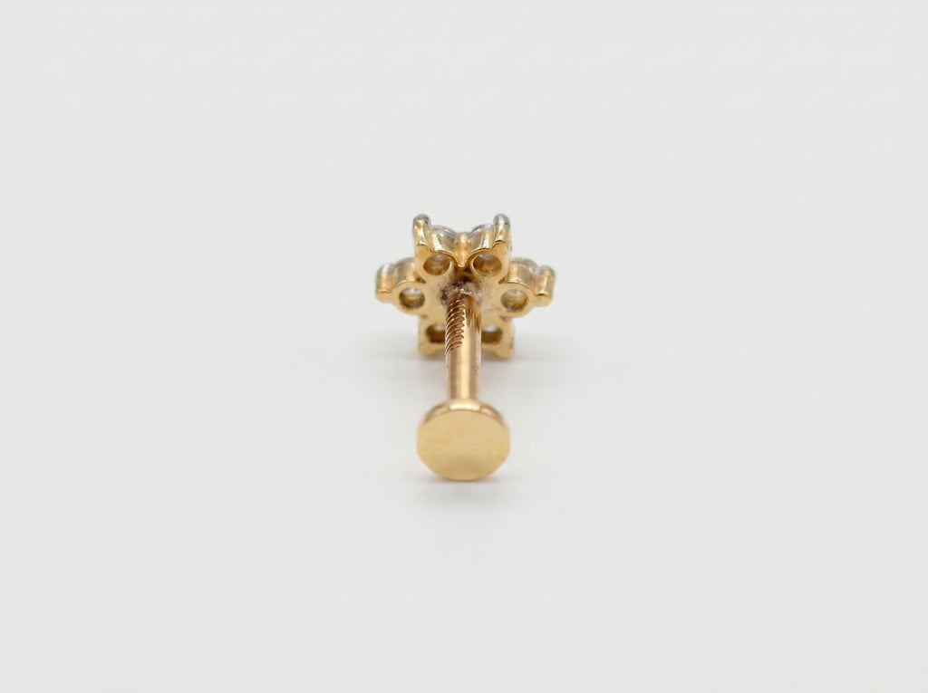 Earring Pro 1