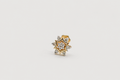 Earring Pro 3