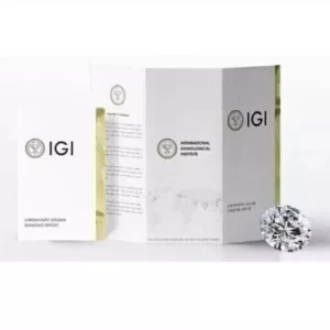 IGI Certified Oval 2CT Lab Grown Diamond Women's Birthday Gift Stud Earring 14K White Gold - Image 11