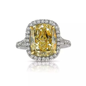 Trial Ring No 1