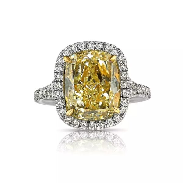 Trial Ring No 1